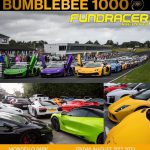 Bumblebee 1000 Group